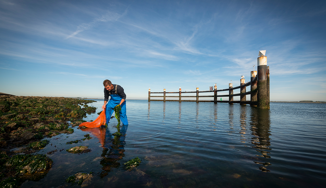 Yerseke - Wat te doen in Yerseke? De beste tips - Holland.com